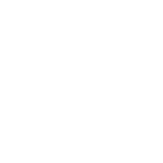 achat voiture collection fiable