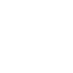 vente voiture collection securité